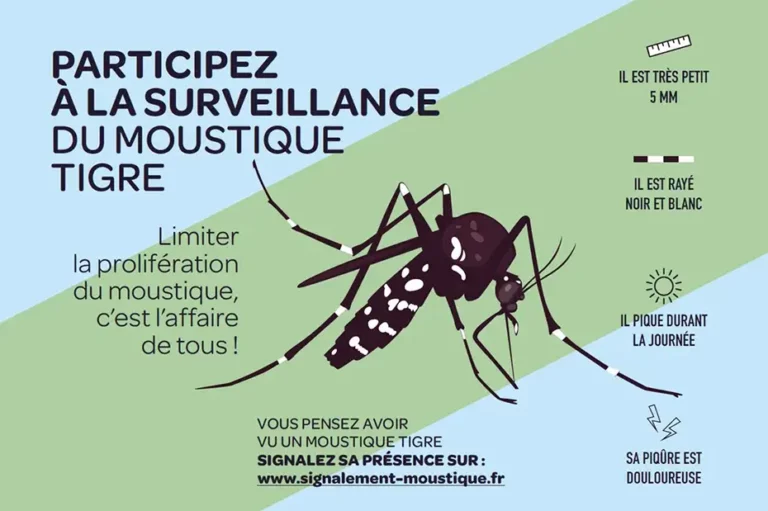 prevention moustique tigre